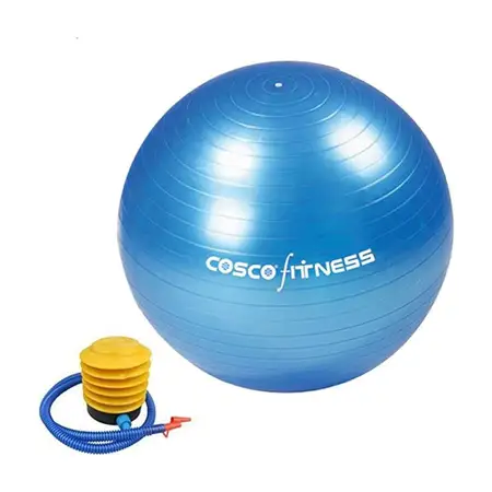 Cosco Gym Ball