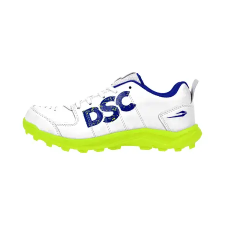 DSC Beamer Cricket Shoes
