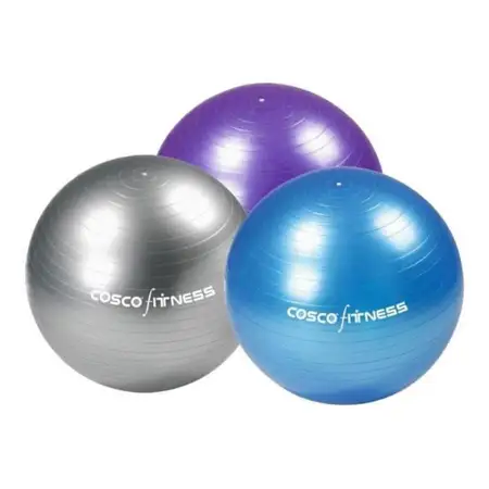 Cosco Gym Ball