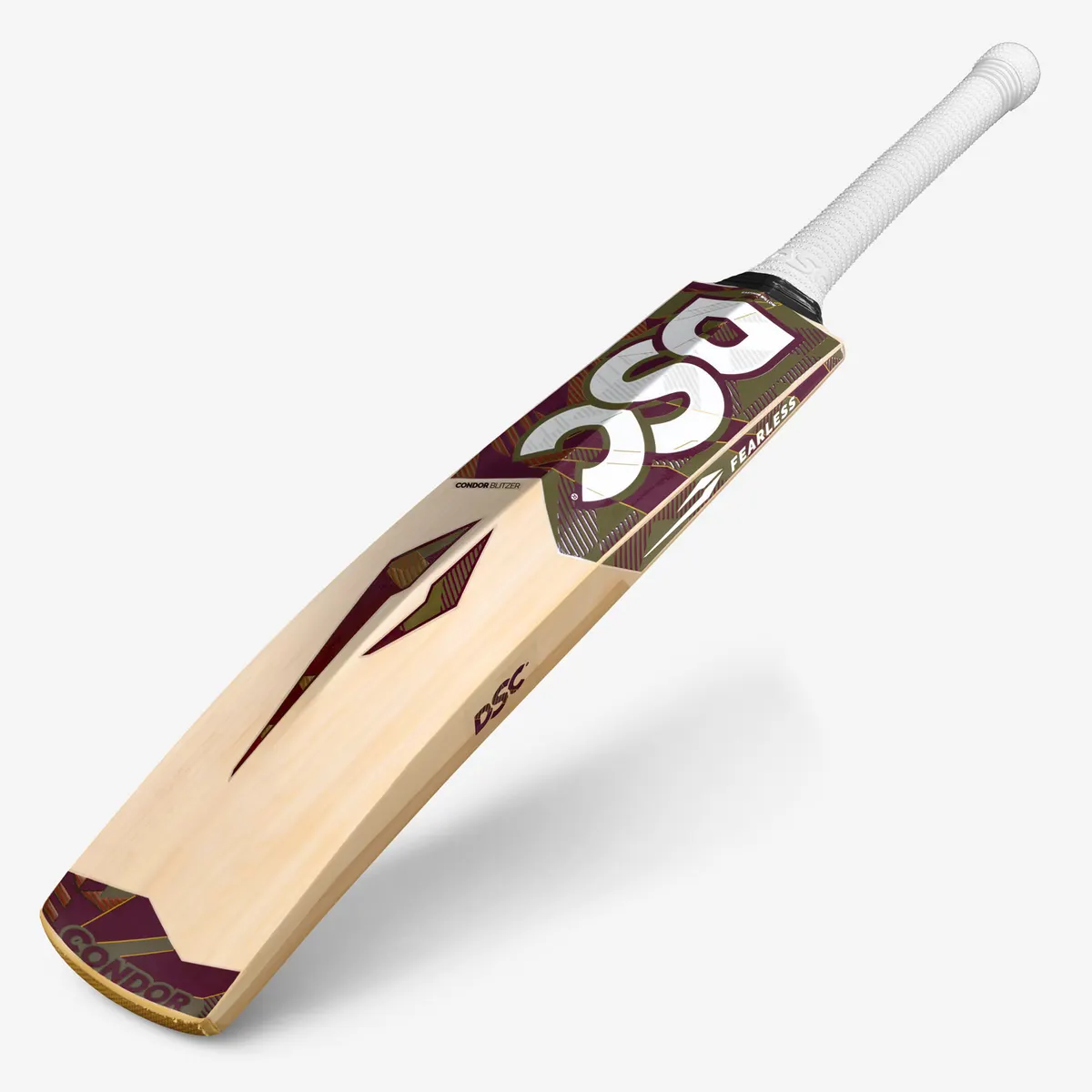 DSC Condor Blitzer Cricket Bat