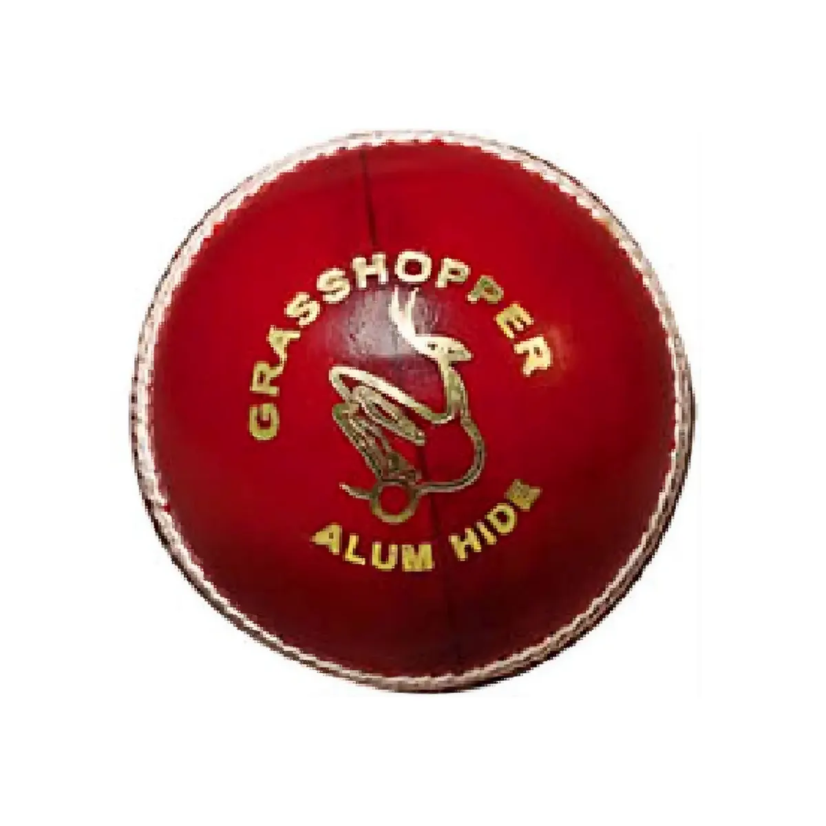 Grasshopper Club Man Cricket Leather Ball