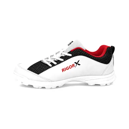 DSC Rigor X Cricket Shoes