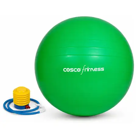 Cosco Gym Ball