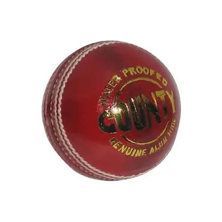 Wisden County Cricket Leather Ball