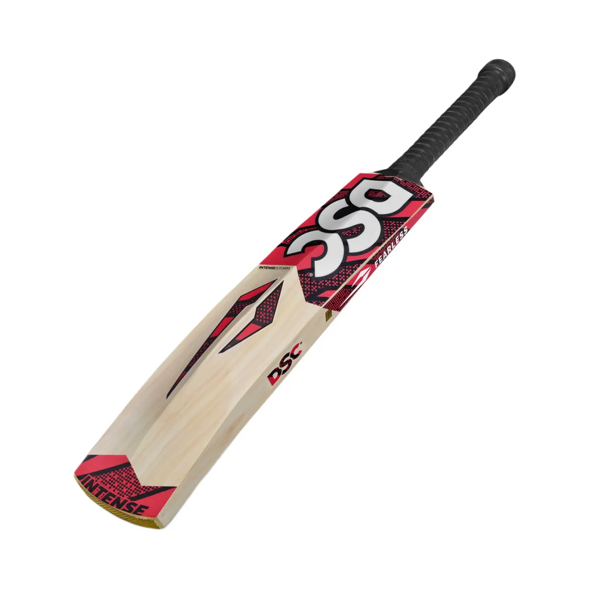 DSC Intense Storm Cricket Bat