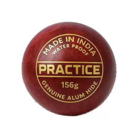 Total Practice Cricket Leather Ball