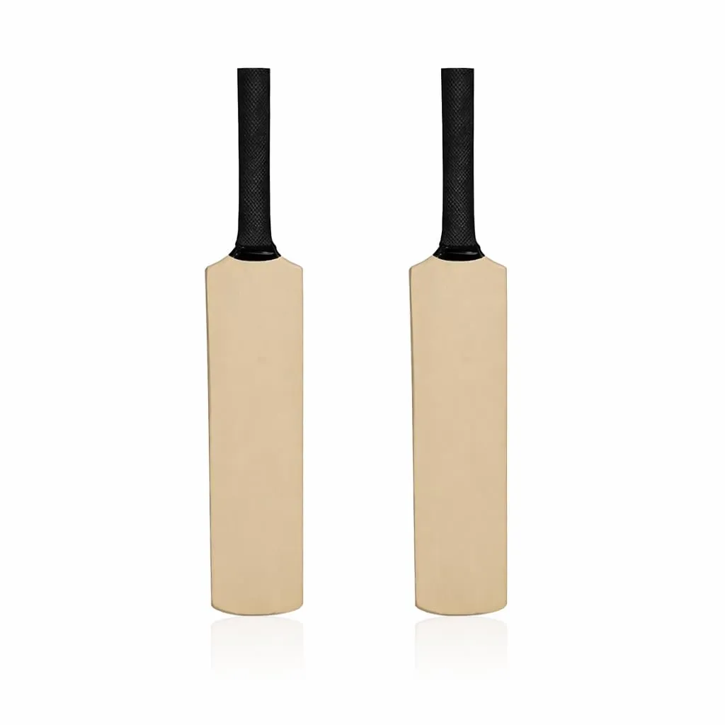 ACE Mini Cricket Autograph Bat 15 Inch