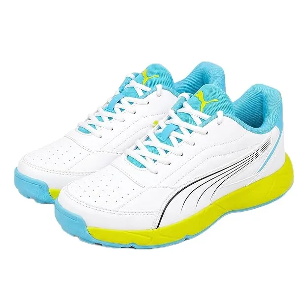PUMA Cricket Rubber Shoes