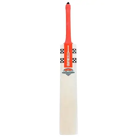 Gray-Nicolls GN1 Astro Cricket Bat