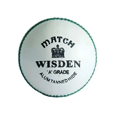 Wisden Beamer Cricket Leather Ball