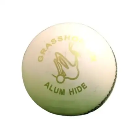 Grasshopper Beamer Cricket Leather Ball